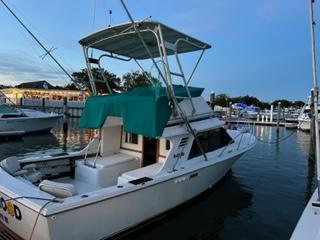 Blackfin 29 Fly bridge