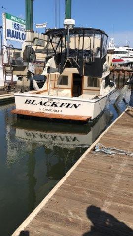 Blackfin 29 Flybridge