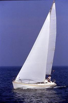 Custom Novelli Teodorico Nova 37