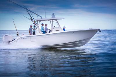 Cobia 301 CC