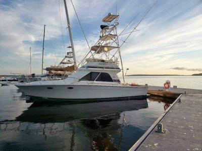 Blackfin 38 Convertible