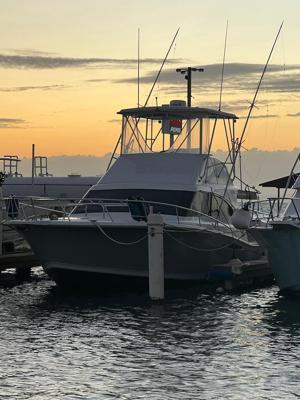 Luhrs 380 Tournament