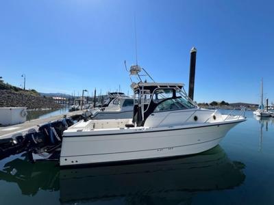 Trophy 2902 Walkaround