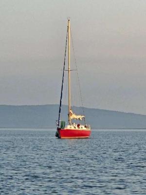 Tartan 30