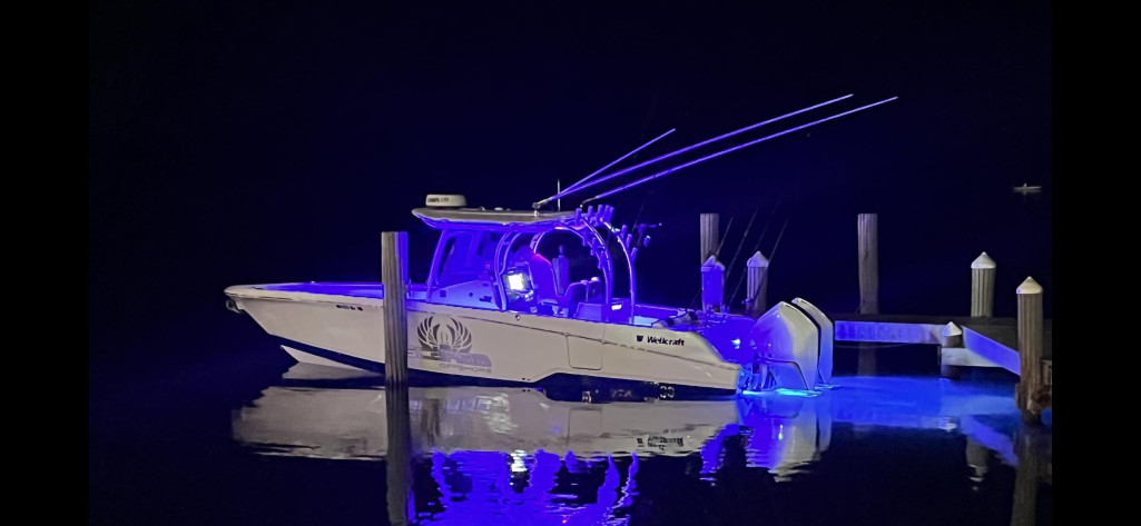 Wellcraft 302 Fisherman