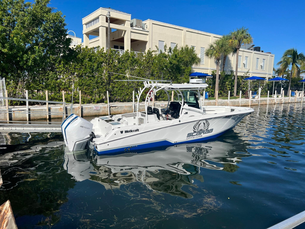 Wellcraft 302 Fisherman
