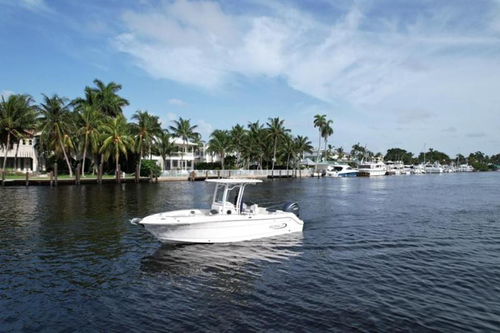 Robalo R242 Explorer