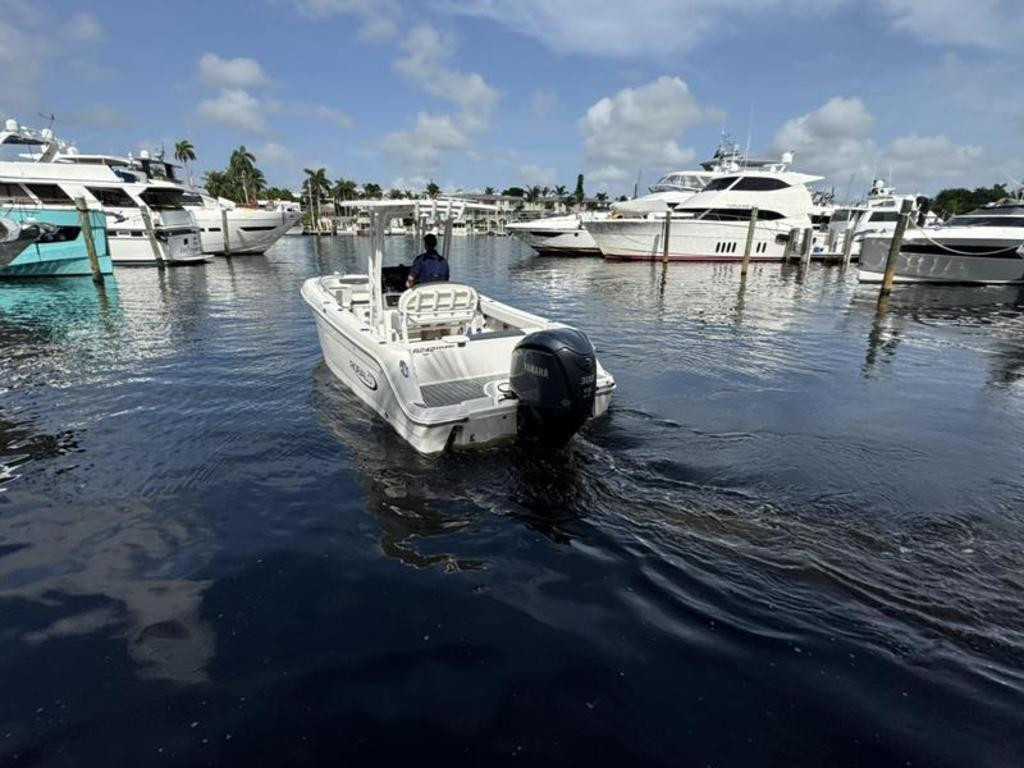 Robalo R242 Explorer