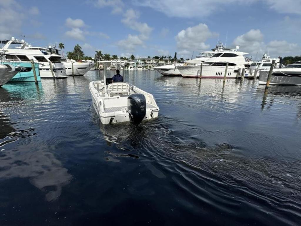Robalo R242 Explorer