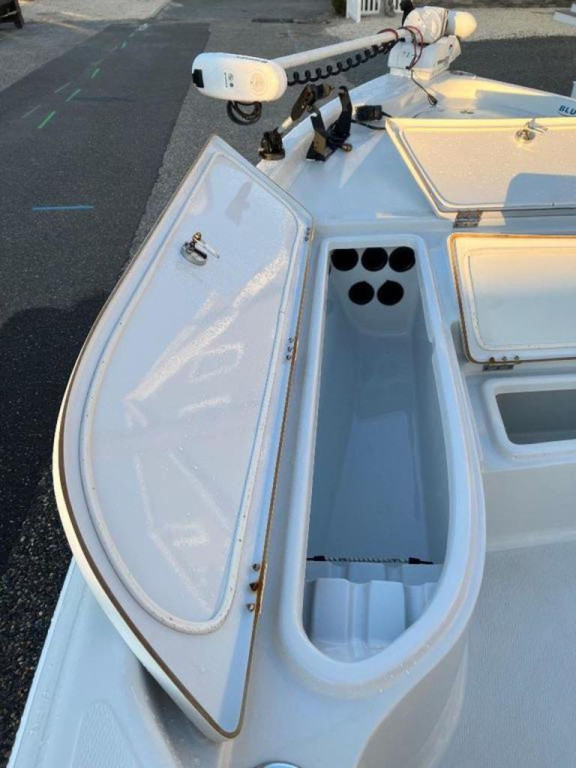 Blue Wave 2400 Pure Bay