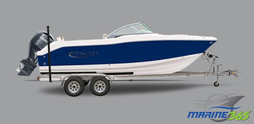 Robalo R207