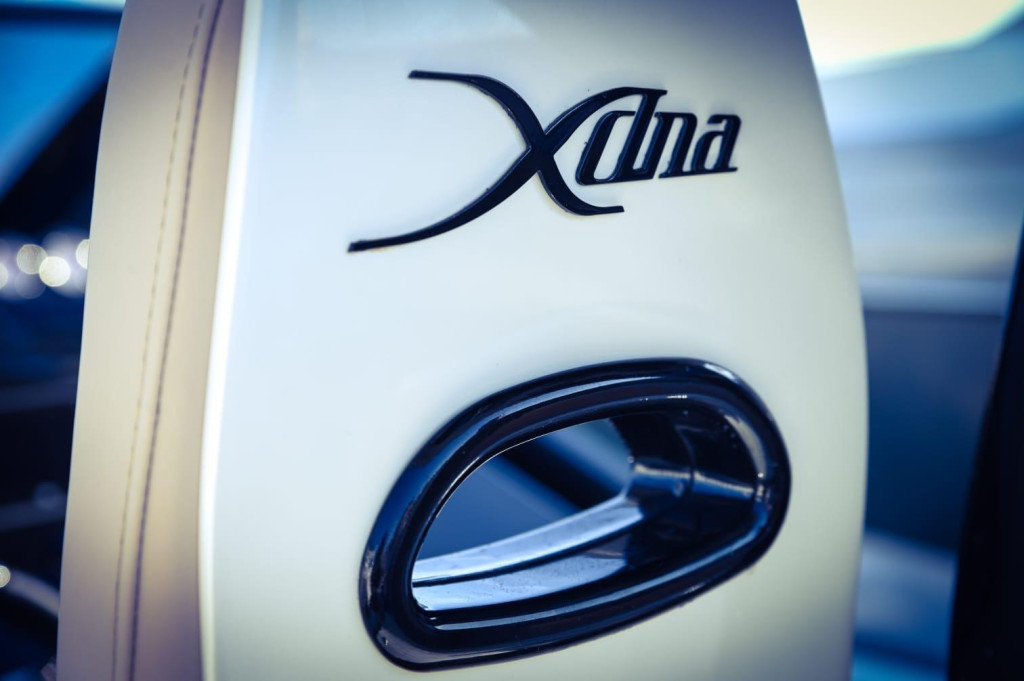 DNA Maxi Rib