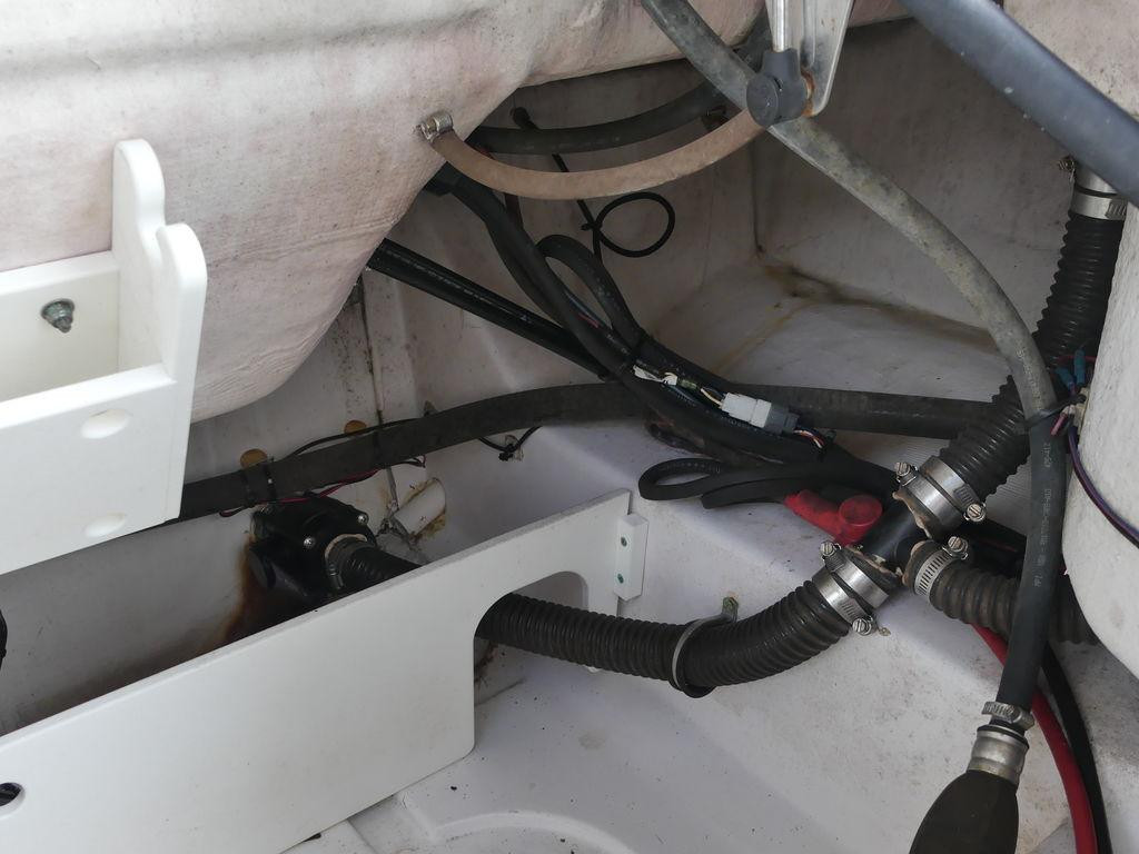 Sportsman Heritage 231