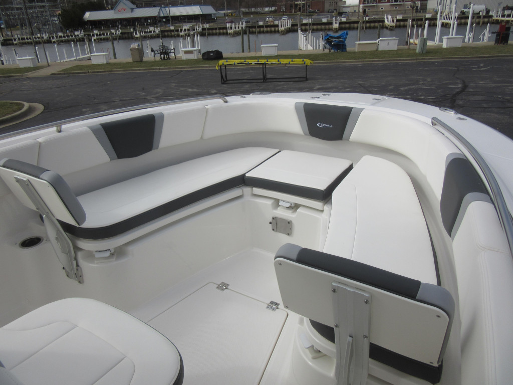 Robalo R250 Center Console