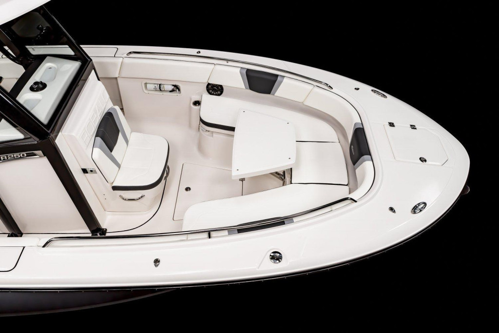 Robalo R250 Center Console