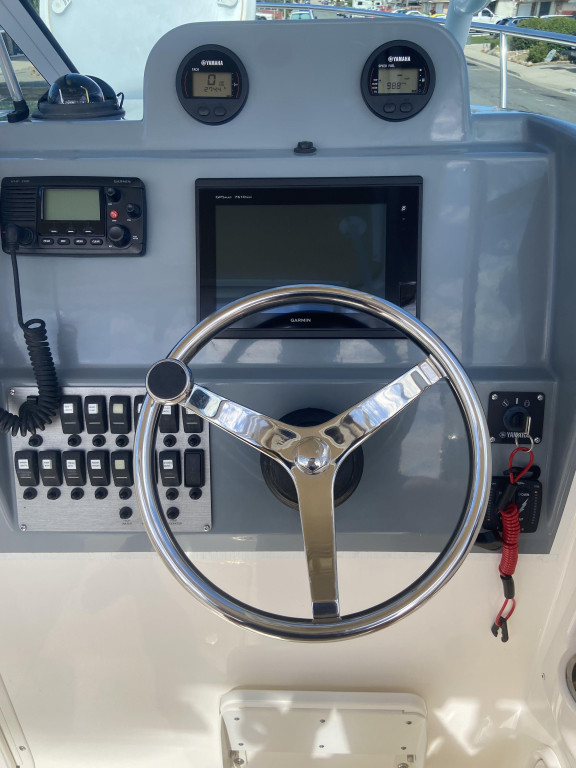 Seaswirl Striper 230 Walkaround