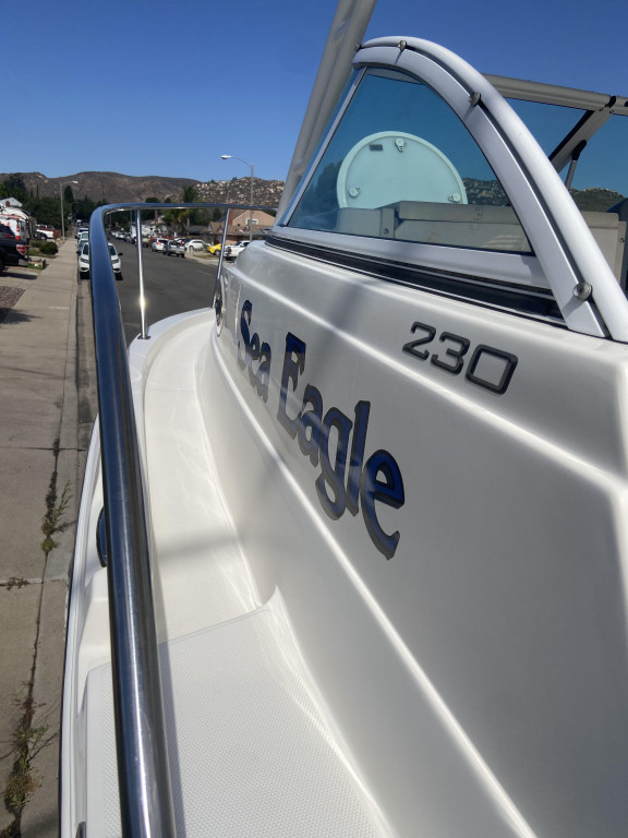 Seaswirl Striper 230 Walkaround