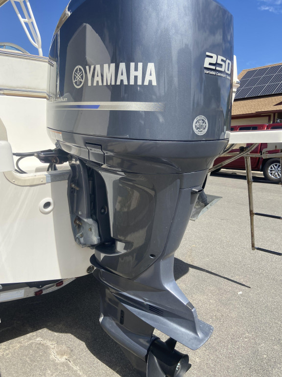 Seaswirl Striper 230 Walkaround