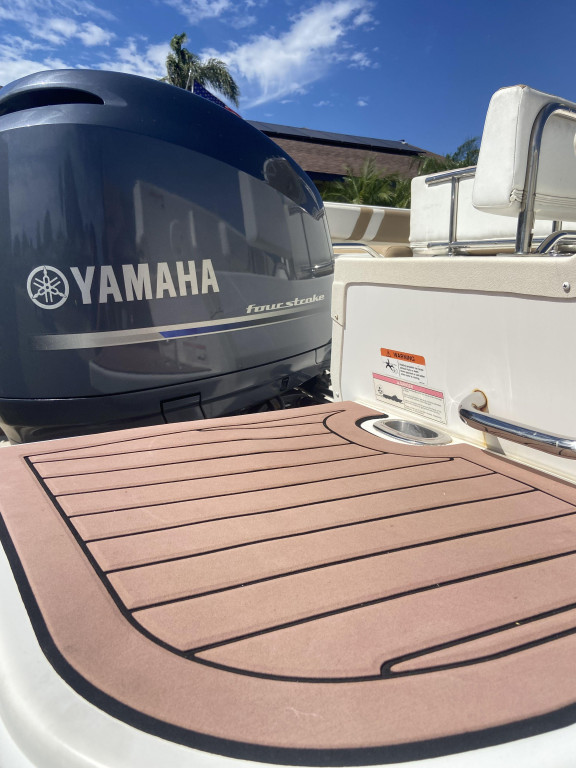 Seaswirl Striper 230 Walkaround