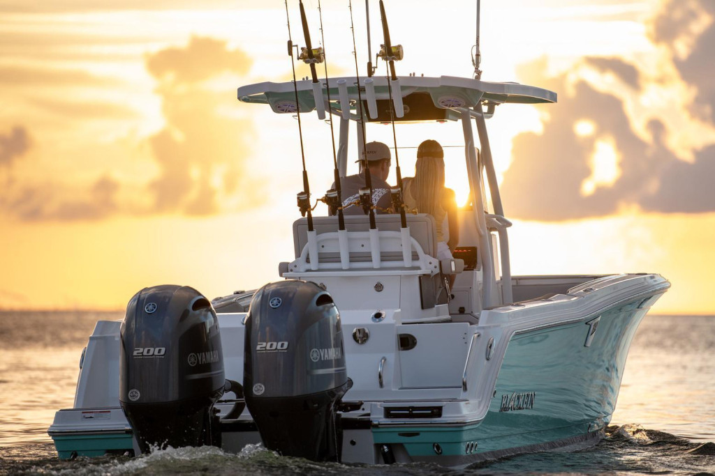 Blackfin 252 CC