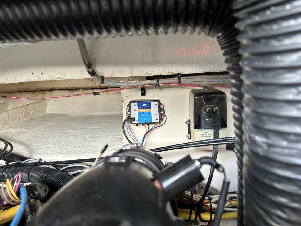 Bayliner 335 Cruiser