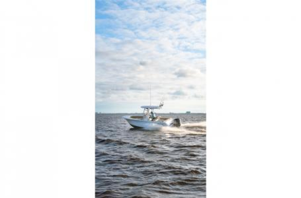 Sportsman Heritage 231