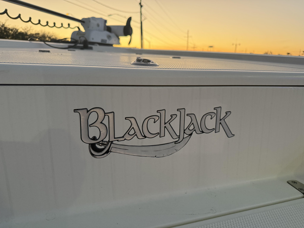 Blackjack 224