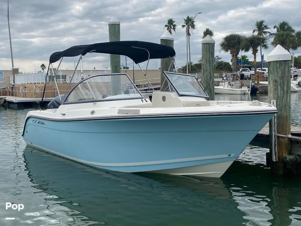 Cobia 220 DC