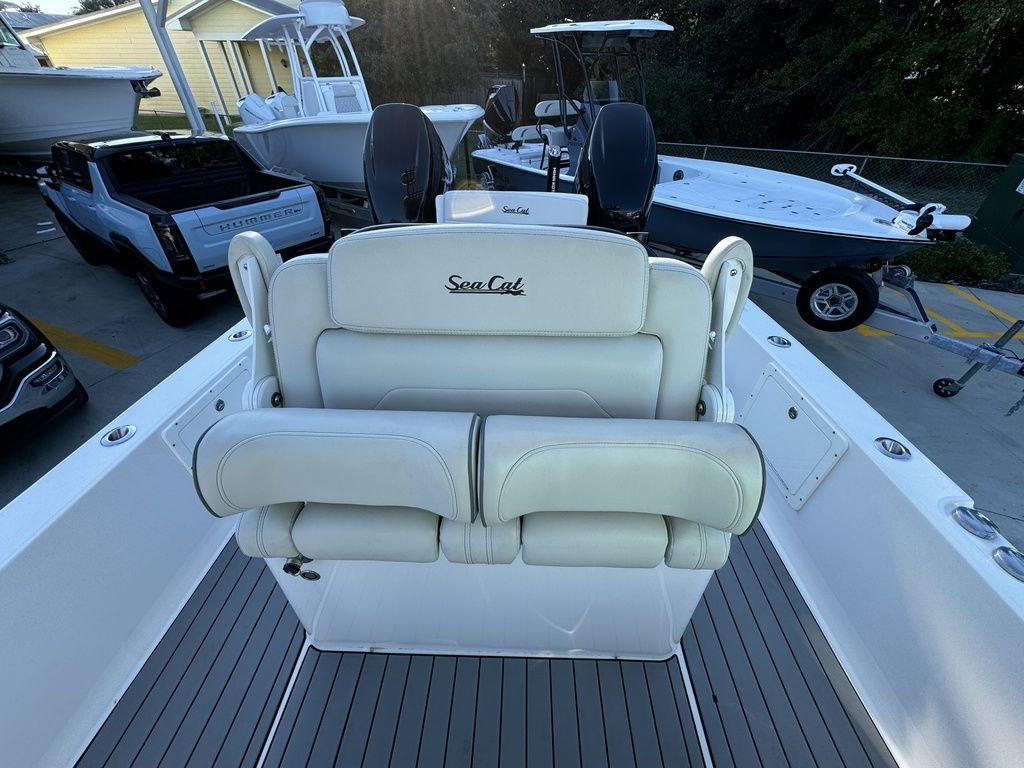 Sea Cat 260 Hybrid Catamaran